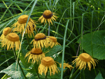 P7302323