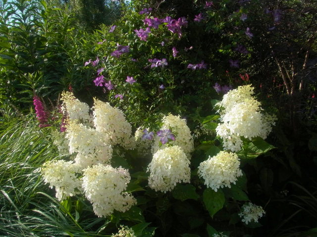RIMG0059