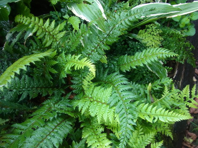 RIMG0074