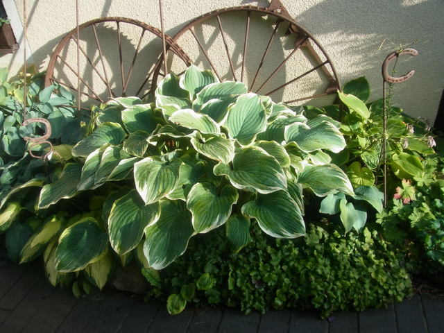 RIMG0060