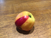 Apfel ‚Gravensteiner‘ mit andersfarbigem Streifen / unten
