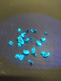 malvensamen_fluoreszenz_15