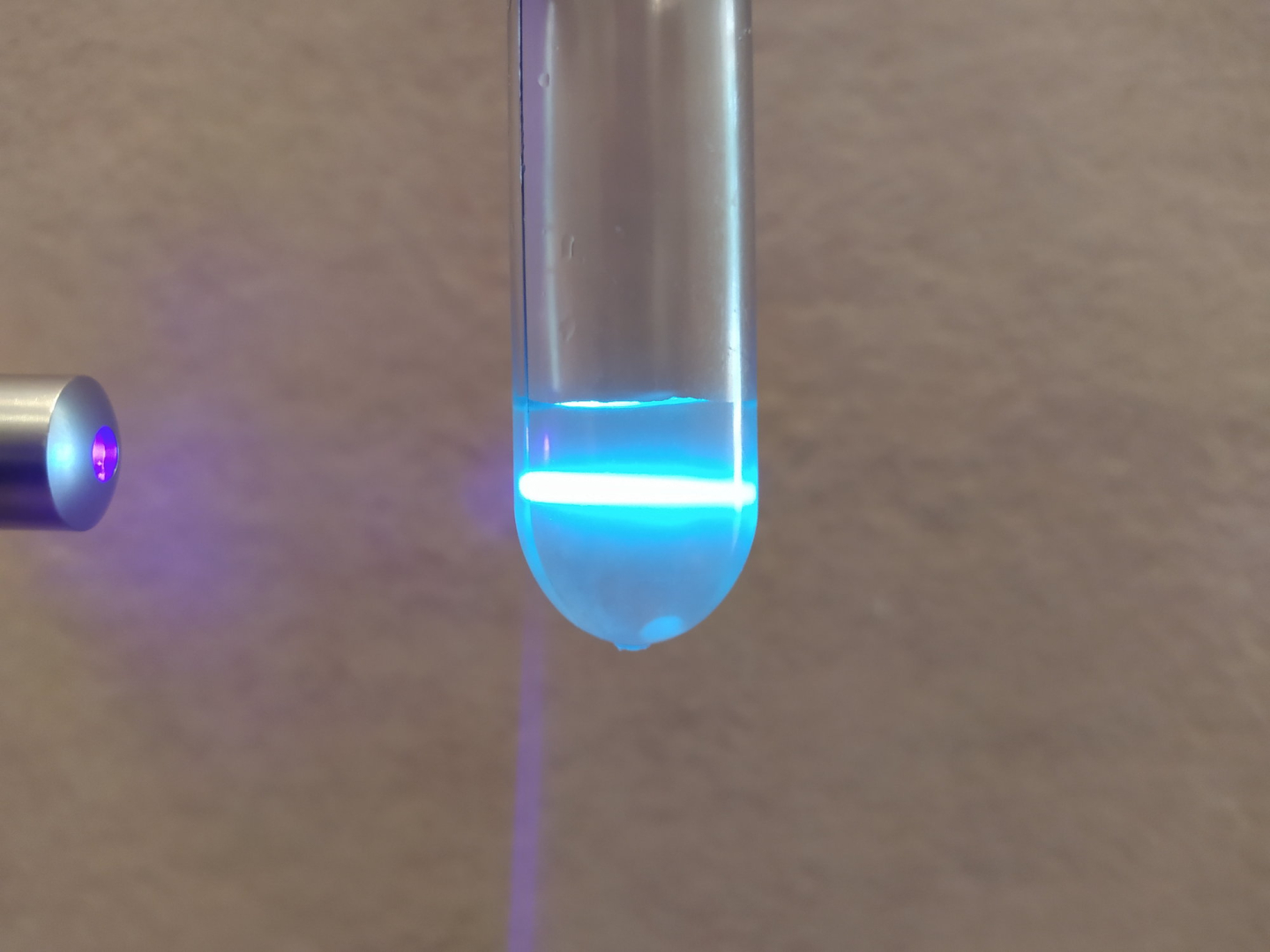 malvensamen_fluoreszenz_16