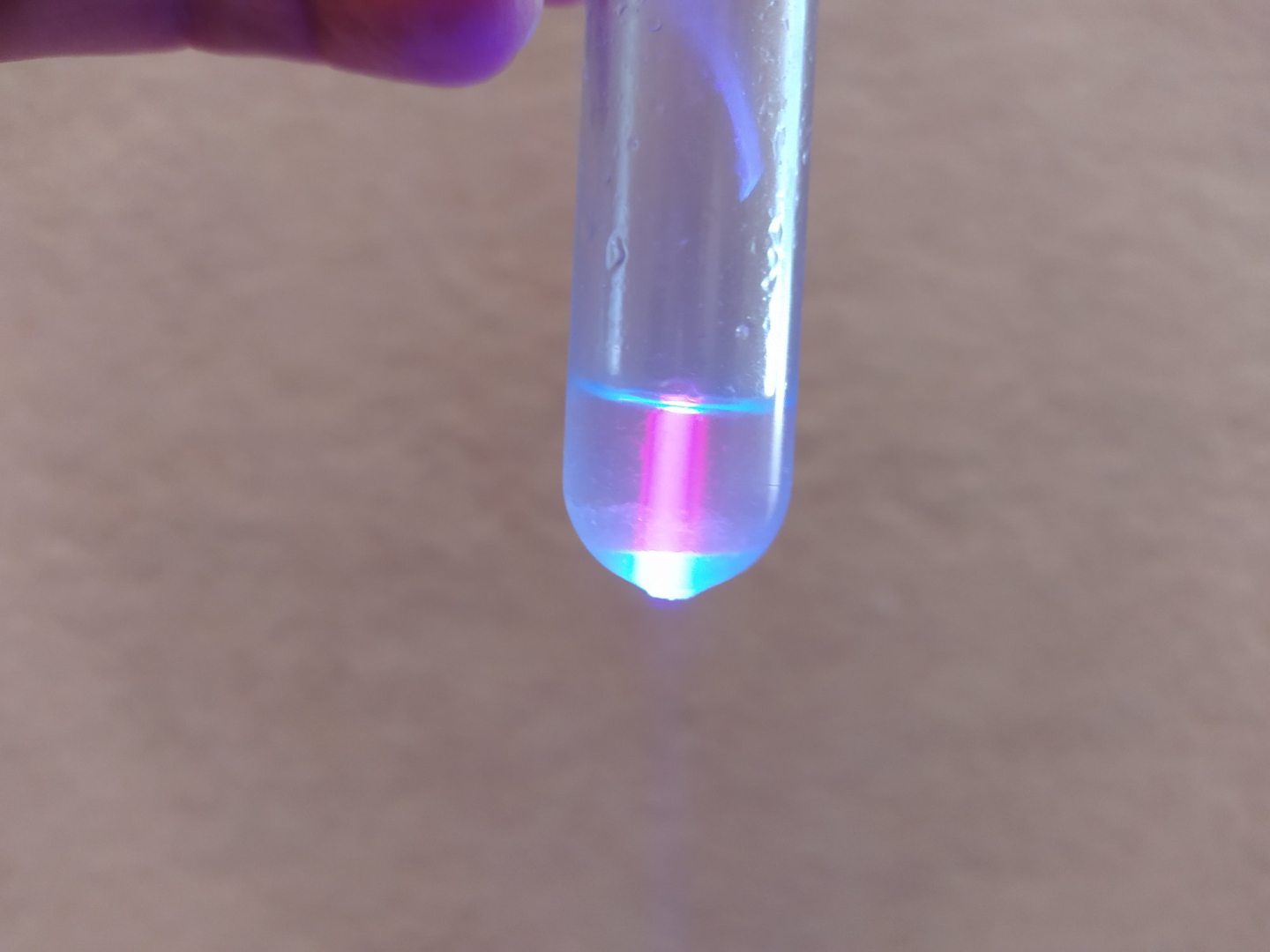 malvensamen_fluoreszenz_17
