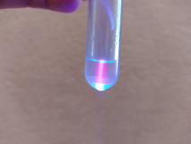 malvensamen_fluoreszenz_17