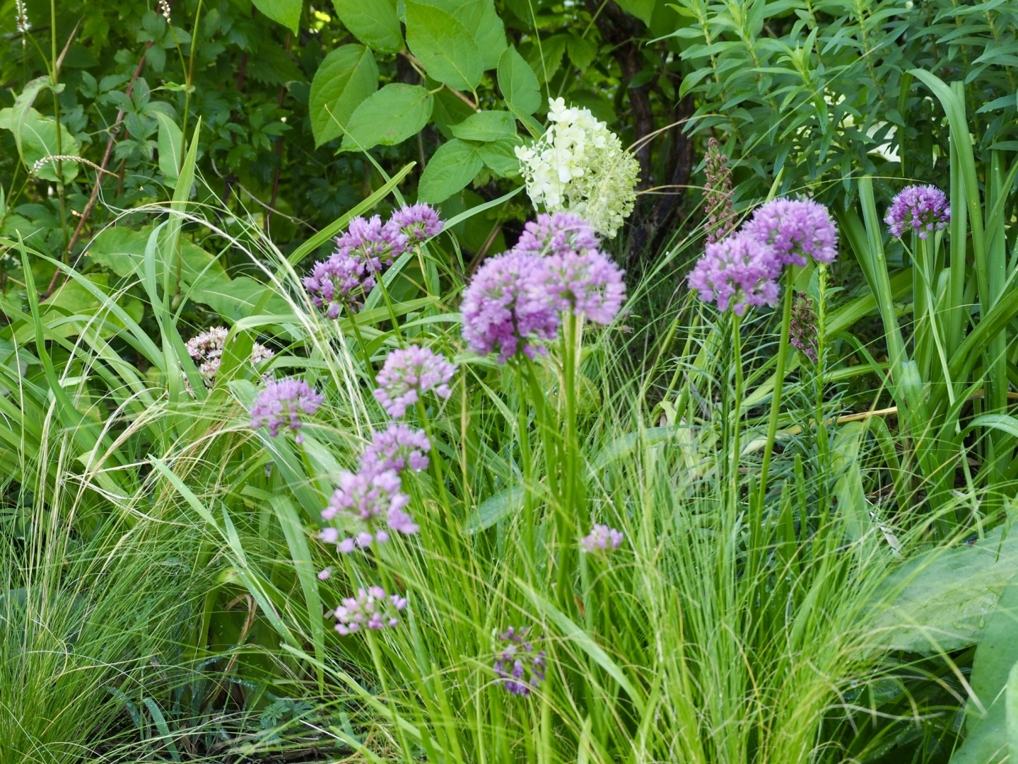 P8102413