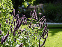 P8102399