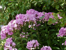 P8102396
