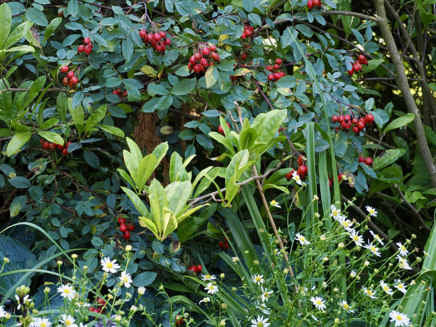 P8102383