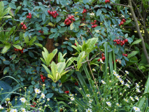 P8102383
