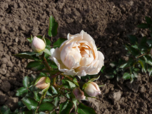 P1240661