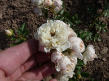 P1240664