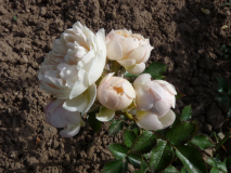 P1240665