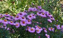 P9192574