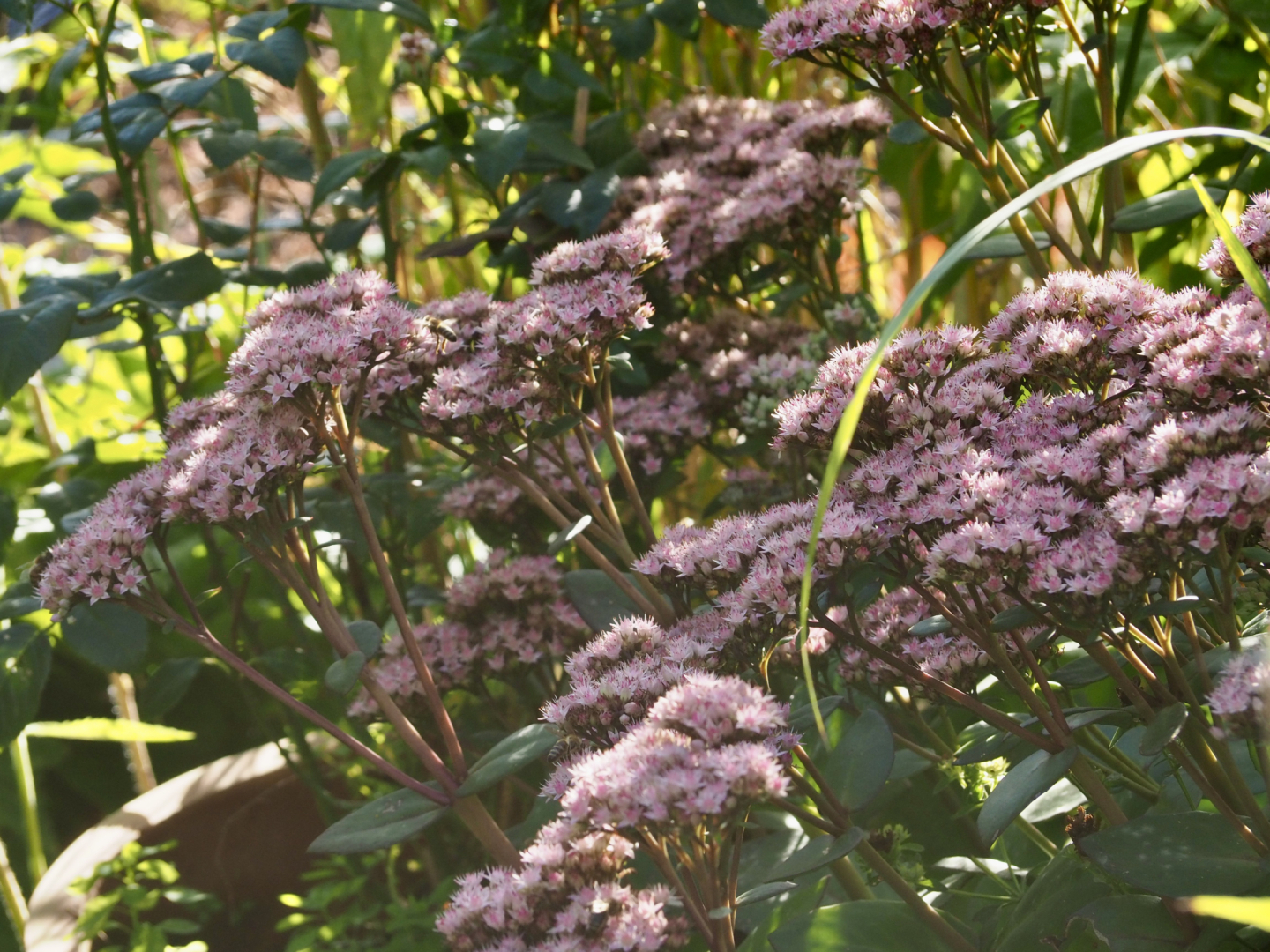 P9192567