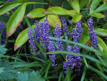P9192559