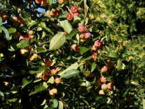 P9192588