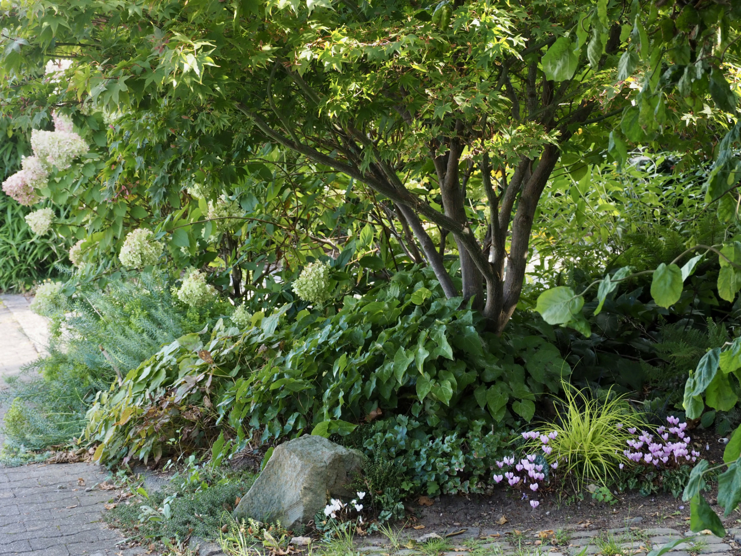 P9202618