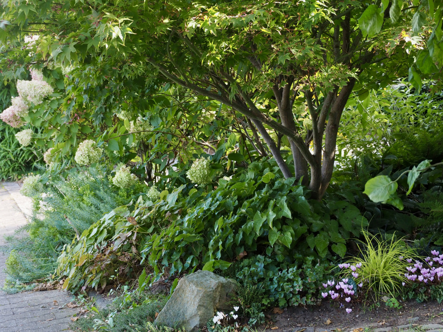 P9202617