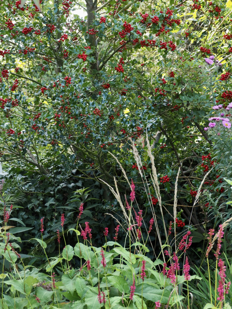 P9202615