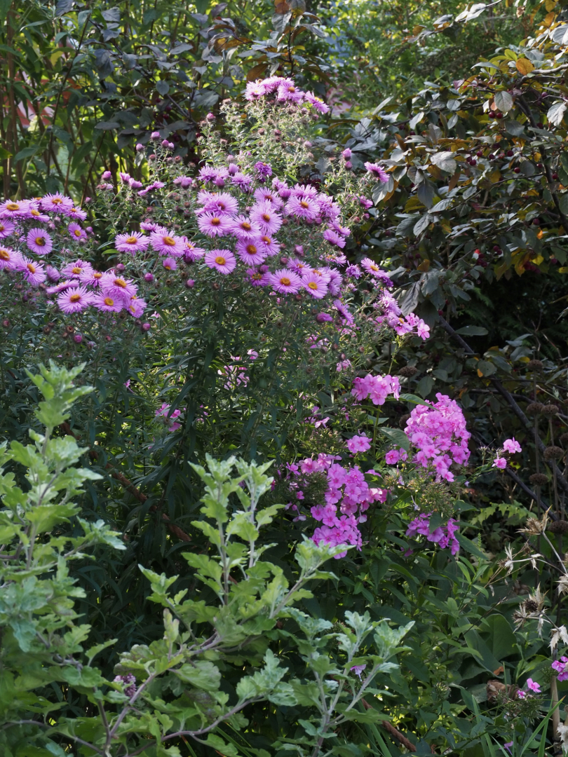 P9202614