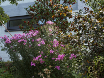 P9202613