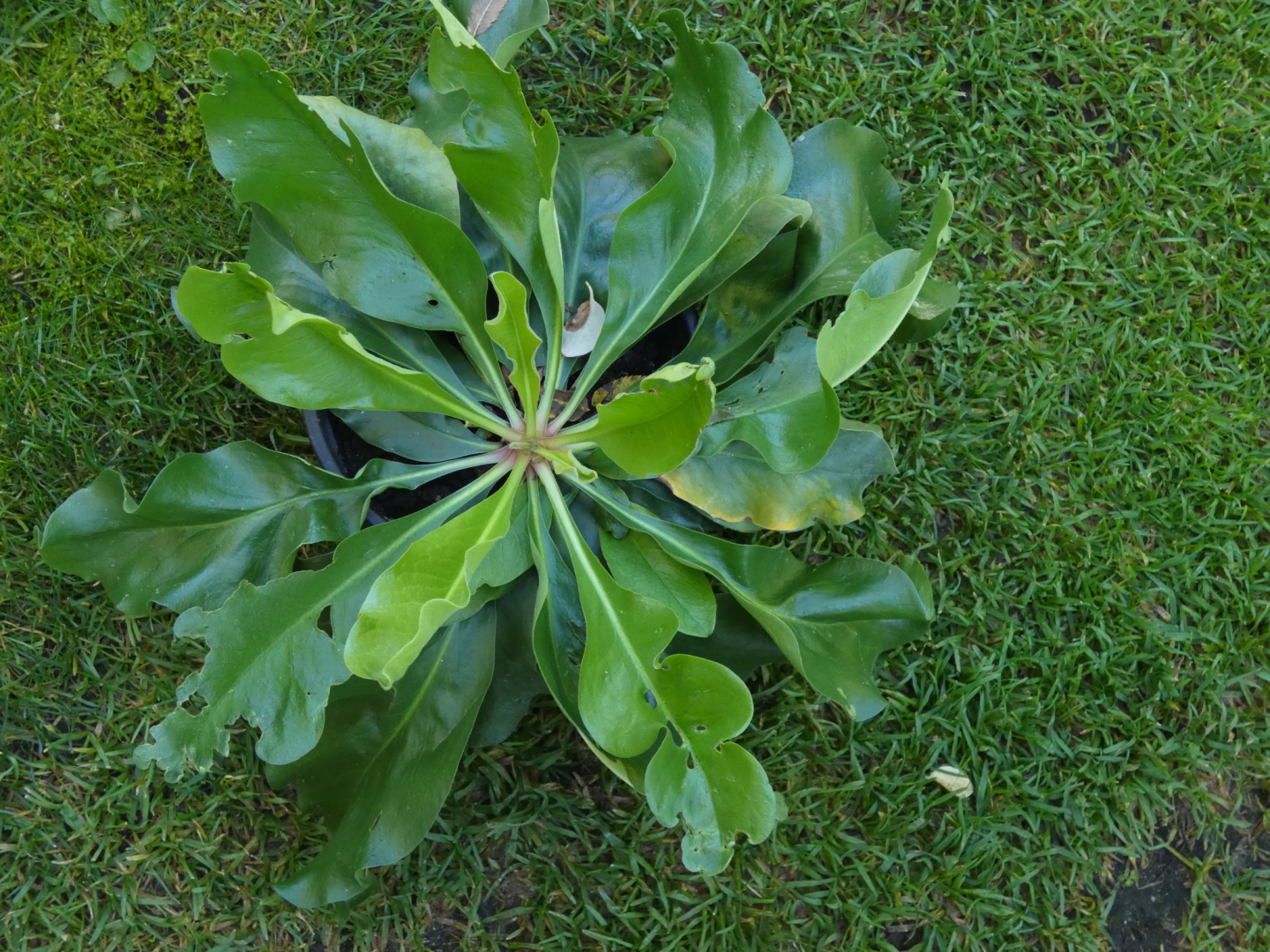 P1020480