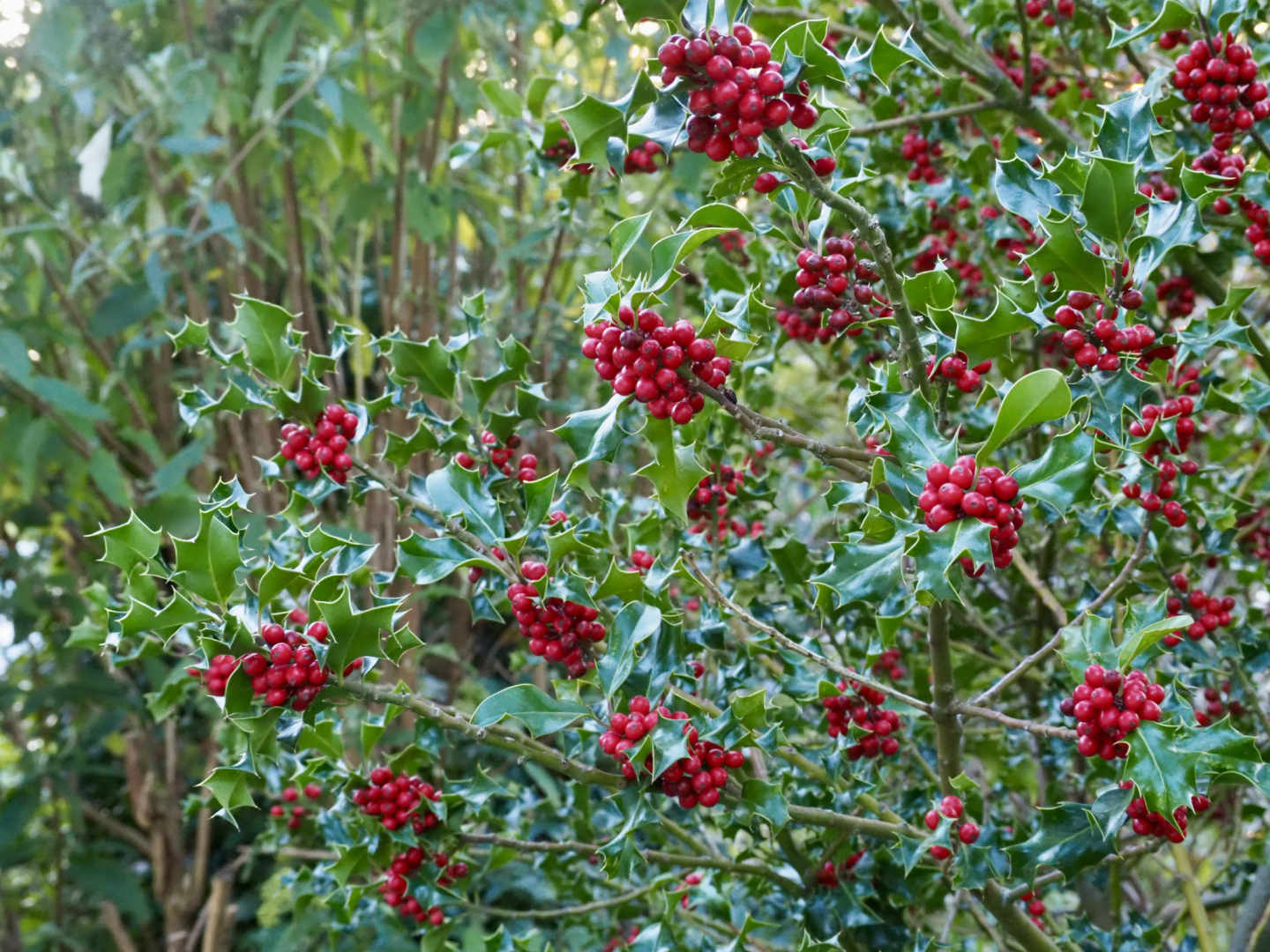 PA012660