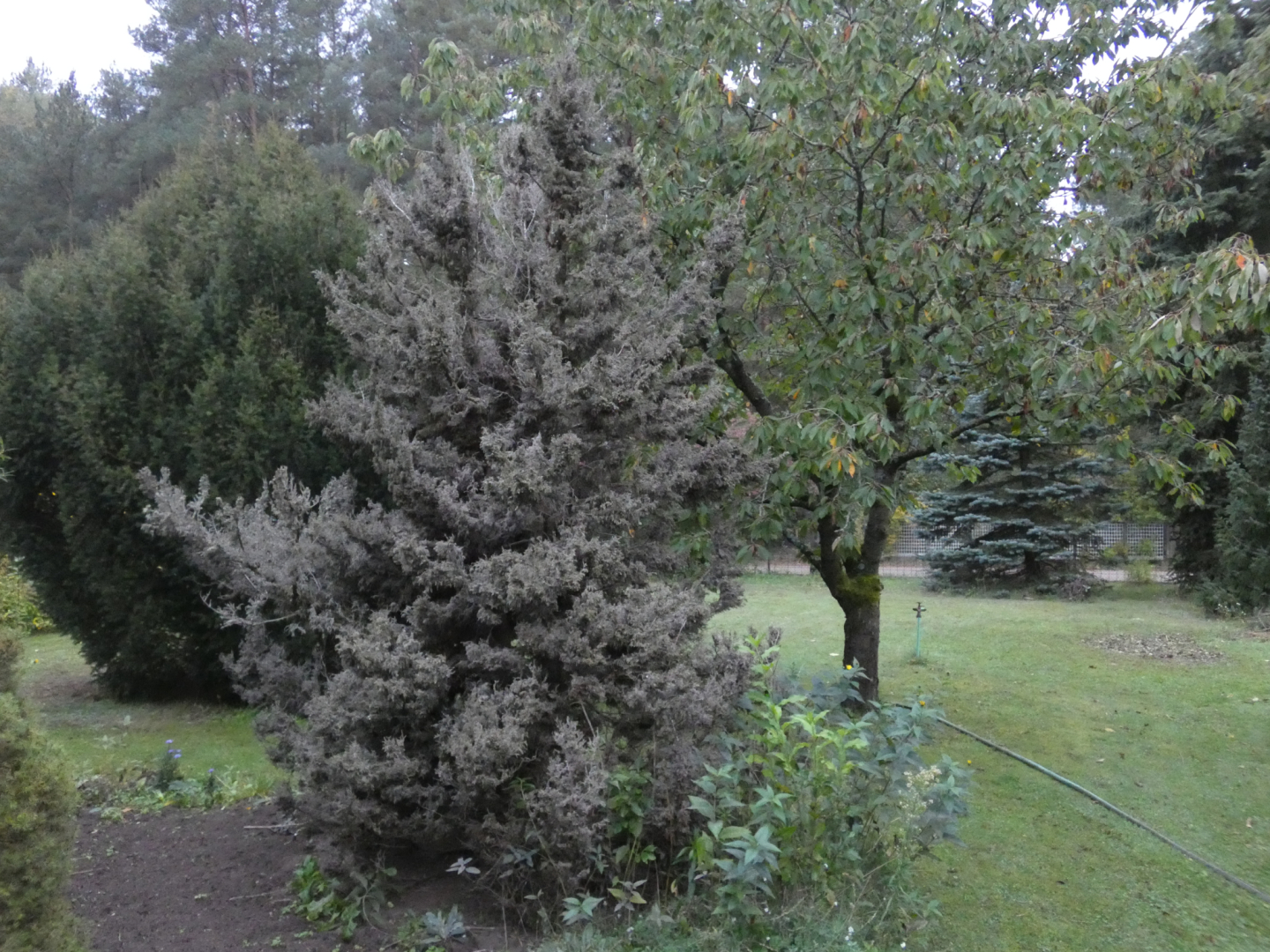 P1020520