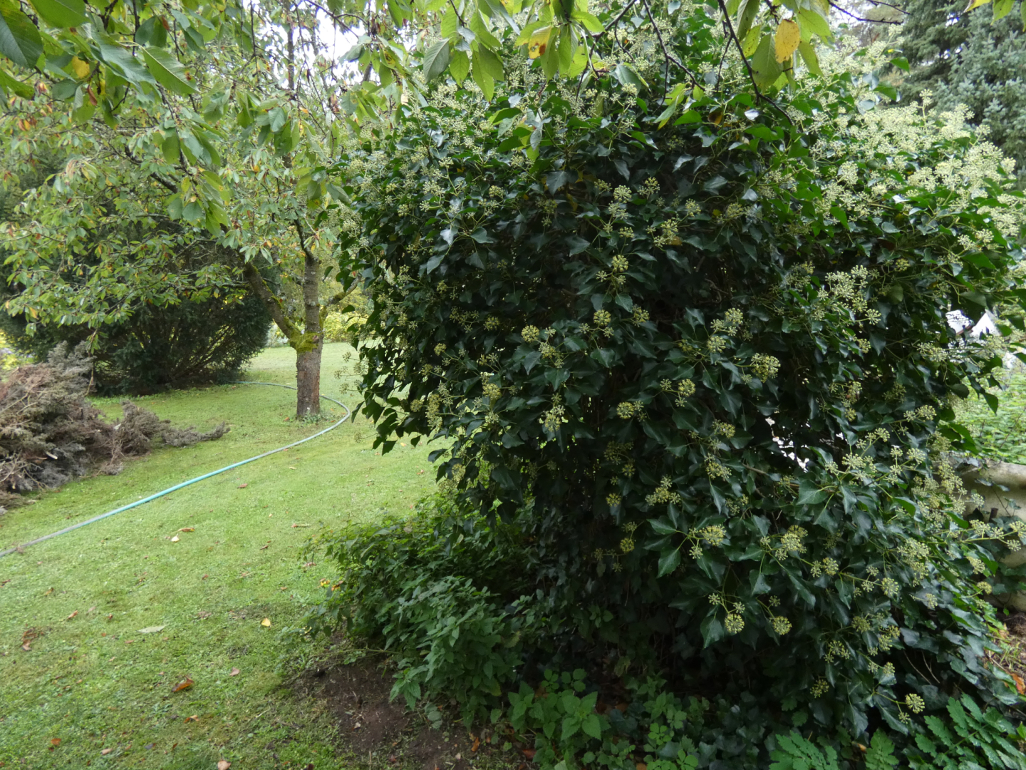 P1020523