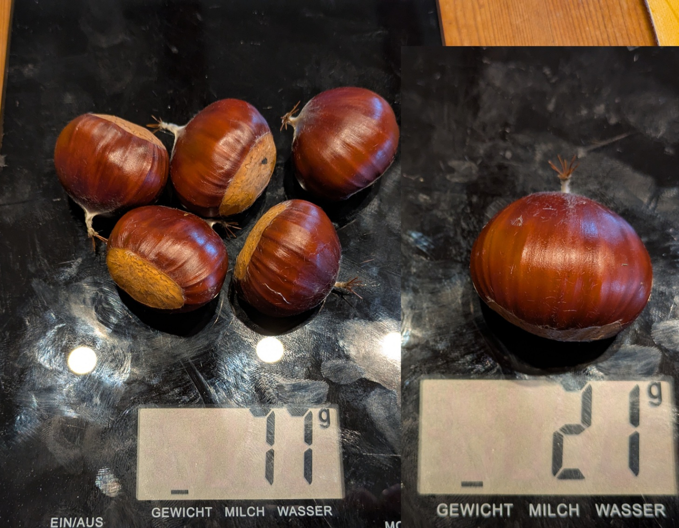 Ecker1große2025