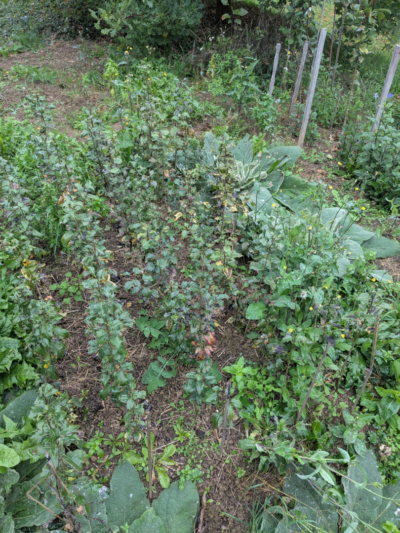 PXL_20251020_131503185