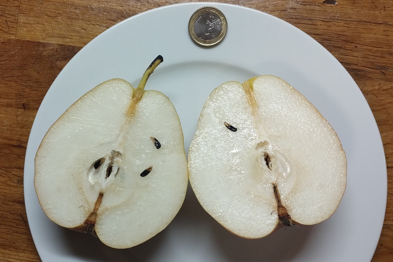 251118_Auringer Winterbirne 2