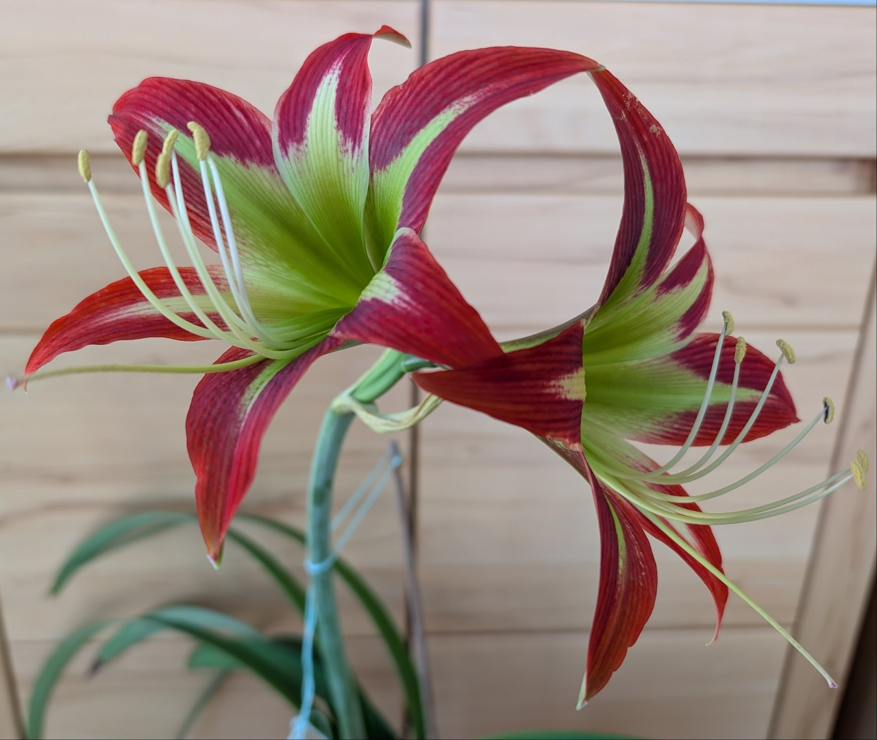 PXL_20251119_084001737