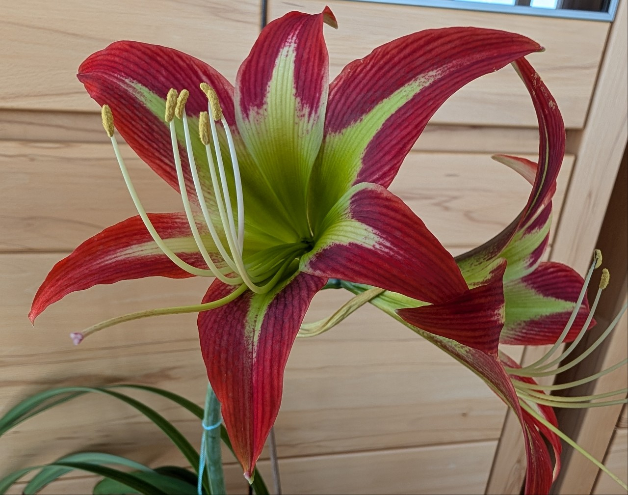 PXL_20251119_084209904