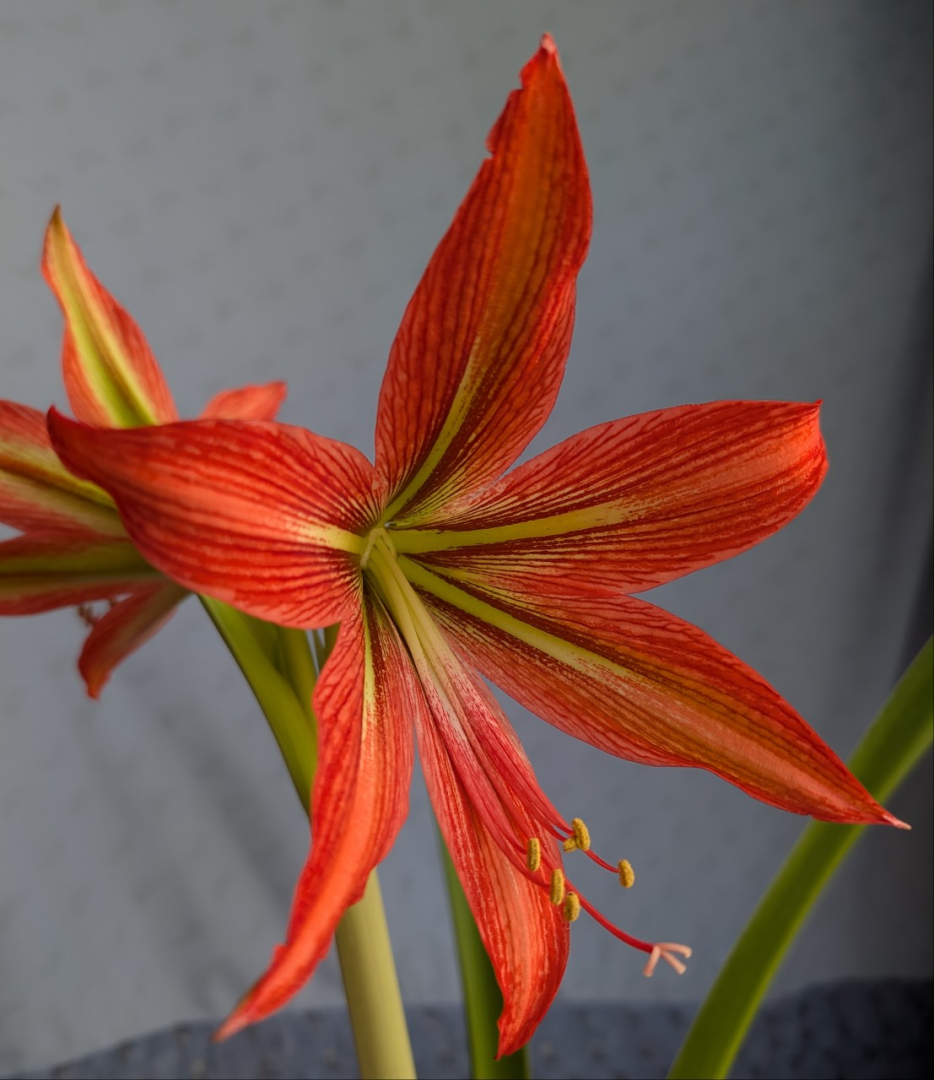 PXL_20251227_080119807