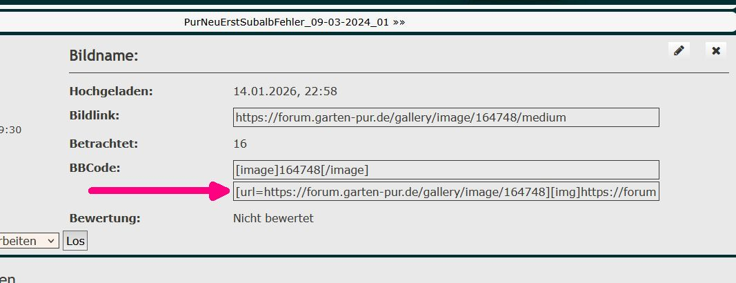 PurNeuBildlink2_01-14-2026_01