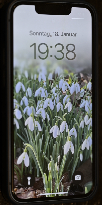 SperrbildschirmJan1826_020_01