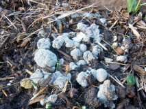 R0010100