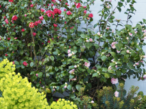 P3183599