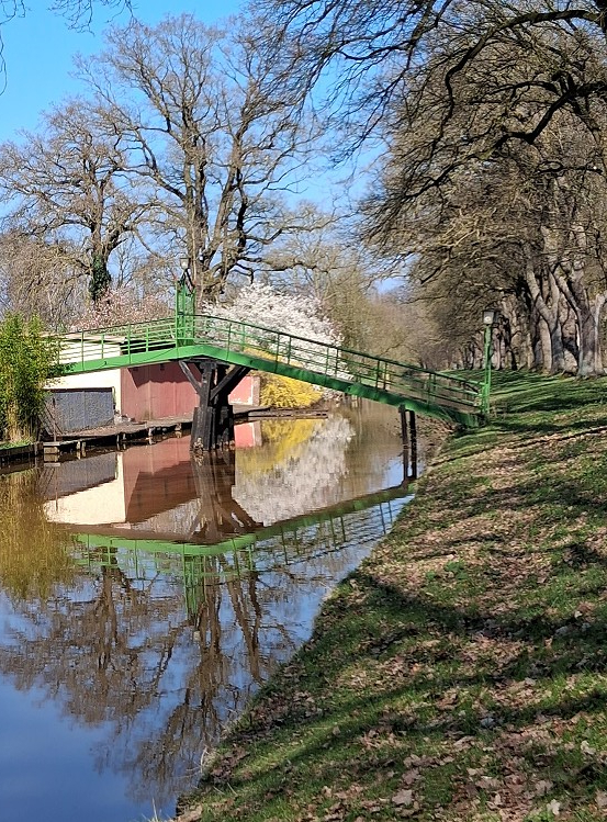 Bürgerpark grüne Brücke Zuschnitt gedreht