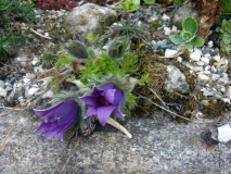 R0010793