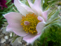 R0010783
