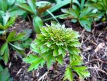 R0010884