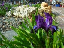R0010872