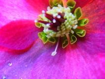 R0011029