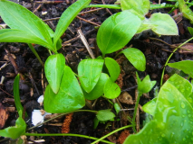 R0011022