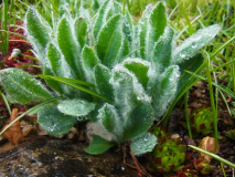 R0010986