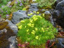 R0010984-001