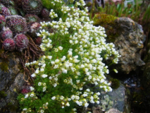 R0010983